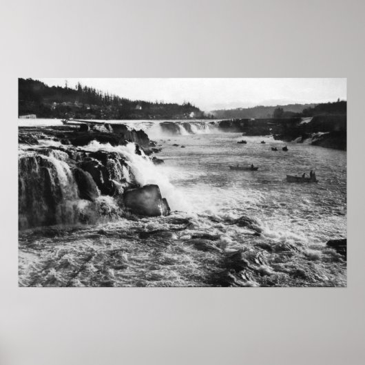 Oregon City, OF Zalm Vist op Willamette Poster (Voorkant)