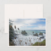Oregon Coast Arch Rock State Park Brookings Beach Briefkaart (Voorkant / Achterkant)