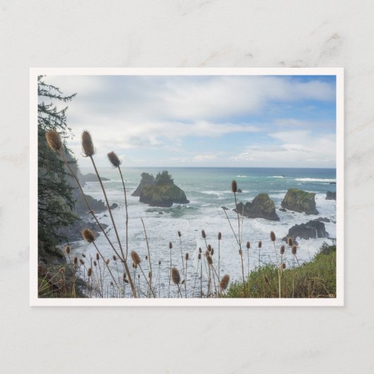 Oregon Coast Arch Rock State Park Brookings Beach Briefkaart (Voorkant)