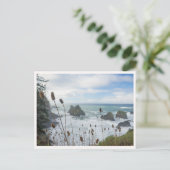 Oregon Coast Arch Rock State Park Brookings Beach Briefkaart (Staand voorkant)