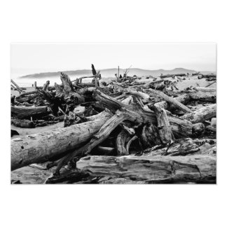 Oregon Coast Driftwood Black en White Print Foto Afdruk