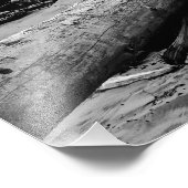 Oregon Coast Driftwood Black en White Print Foto Afdruk (Hoek)