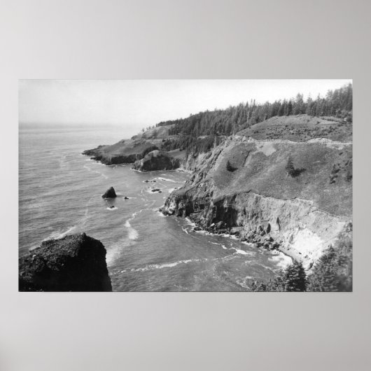 Oregon Coast North van Kaap Fowlwethe Poster (Voorkant)
