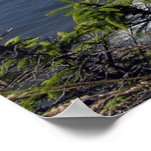 Oregon Coast Poster (Hoek)