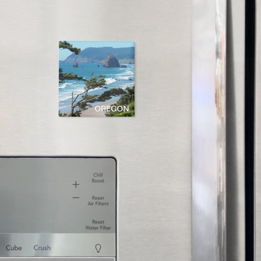 Oregon Coast Schilderachtig Zeegezicht Magneet (Insitu (Koelkast))