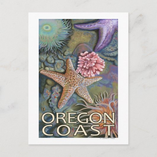 Oregon Coast Tidepool Briefkaart (Voorkant)