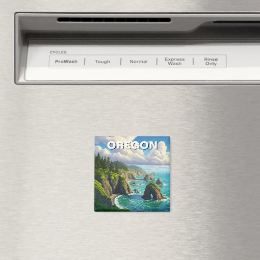 Oregon Coast Travel Magneet (Insitu (Vaatwasser))