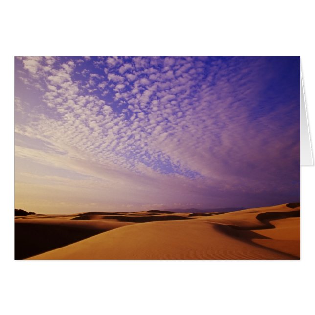 Oregon Dunes National Recreation Area, Oregon (Voorkant Horizontaal)