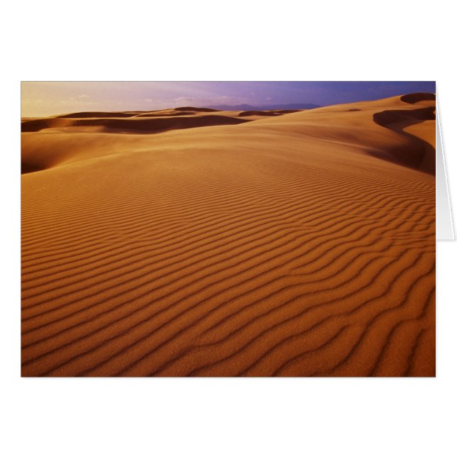 Oregon Dunes National Recreation Area, Oregon bij (Voorkant Horizontaal)