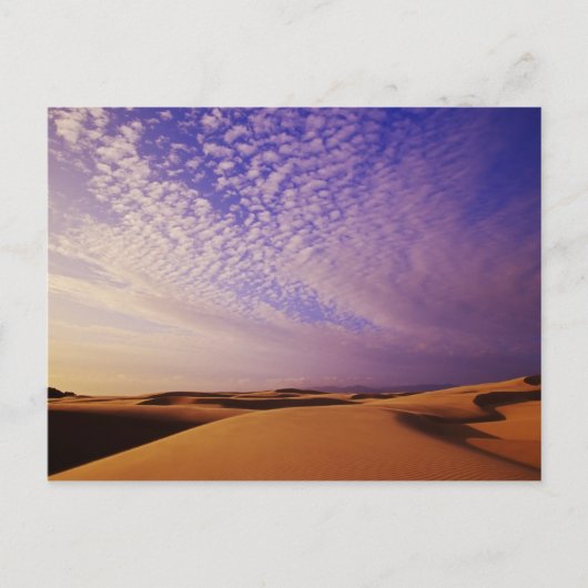 Oregon Dunes National Recreation Area, Oregon Briefkaart (Voorkant)