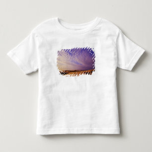 Oregon Dunes National Recreation Area, Oregon Kinder Shirts