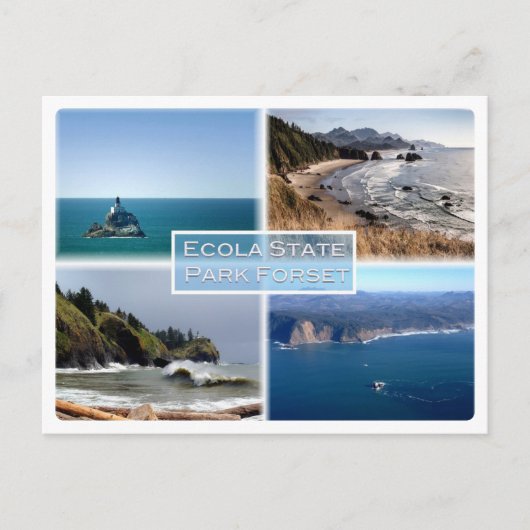 Oregon - Ecola State Park Forset - Briefkaart (Voorkant)