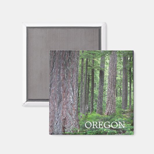 Oregon Evergreen Forest Magneet (Voorkant / Achterkant)