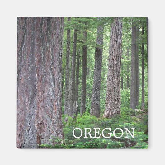 Oregon Evergreen Forest Magneet (Voorkant)