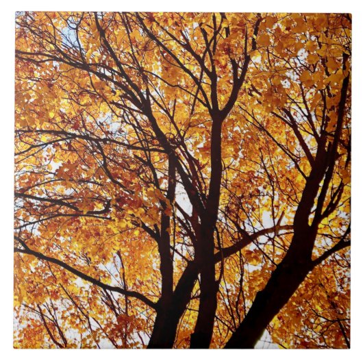 Oregon Fall Leaves Tegeltje (Voorkant)