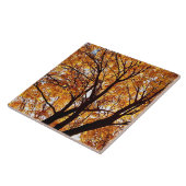 Oregon Fall Leaves Tegeltje (Zijkant)