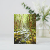 Oregon Fantasy Forest Stream Briefkaart (Staand voorkant)