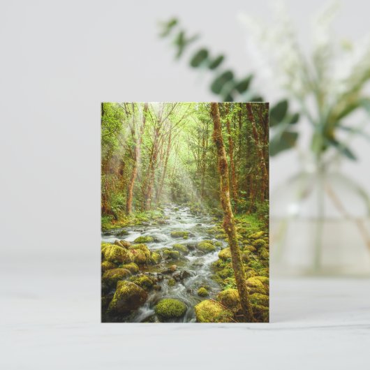 Oregon Fantasy Forest Stream Briefkaart (Staand voorkant)
