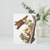 Oregon Flying Squirrel (Pteromys Origonensis) Briefkaart (Staand voorkant)