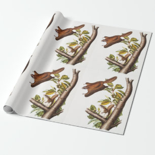 Oregon Flying Squirrel (Pteromys Origonensis) Cadeaupapier