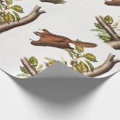 Oregon Flying Squirrel (Pteromys Origonensis) Cadeaupapier (Hoek)