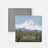 Oregon fruitboomgaarden en Mount Hood Magneet (Voorkant / Achterkant)