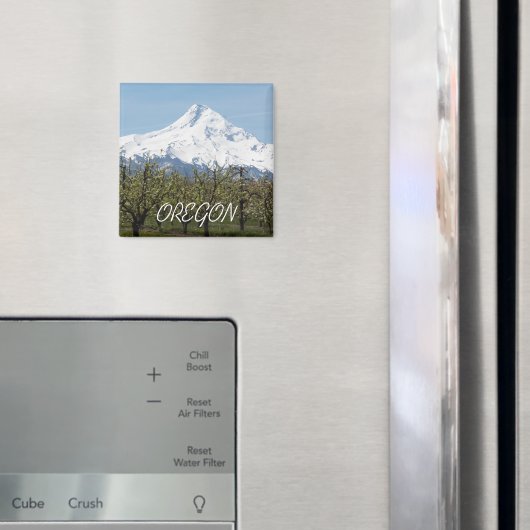Oregon fruitboomgaarden en Mount Hood Magneet (Insitu (Koelkast))
