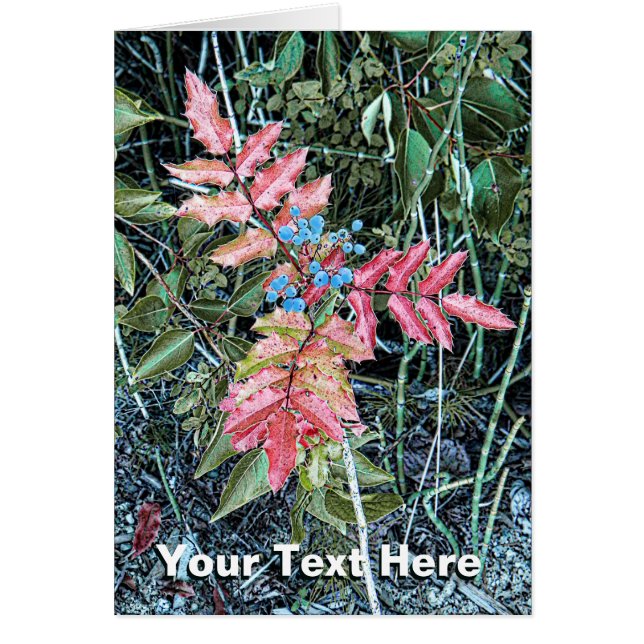 Oregon Grape (Voorkant)