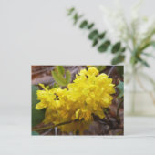 Oregon Grape Flowers Yellow Wildbloemen Briefkaart (Staand voorkant)
