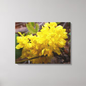 Oregon Grape Flowers Yellow Wildbloemen Canvas Afdruk (Voorkant)