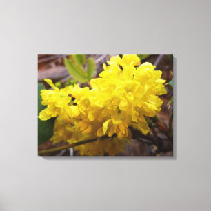 Oregon Grape Flowers Yellow Wildbloemen Canvas Afdruk