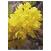 Oregon Grape Flowers Yellow Wildbloemen Klembord (Achterkant)