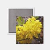 Oregon Grape Flowers Yellow Wildbloemen Magneet (Voorkant / Achterkant)