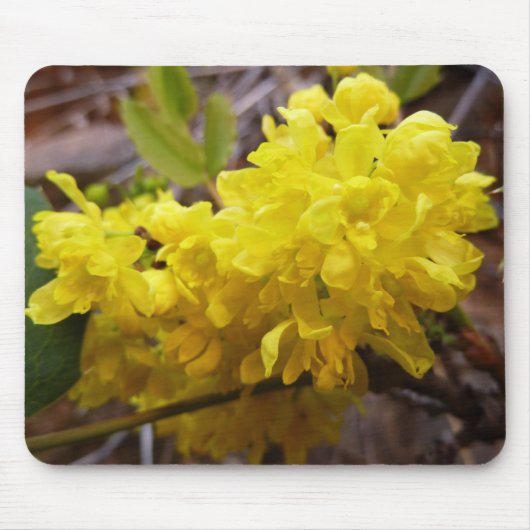 Oregon Grape Flowers Yellow Wildbloemen Muismat (Voorkant)