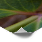 Oregon Grape Flowers Yellow Wildbloemen Poster (Hoek)