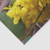 Oregon Grape Flowers Yellow Wildbloemen Tissuepapier (Detail)