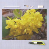 Oregon Grape Flowers Yellow Wildbloemen Tissuepapier (Craft)