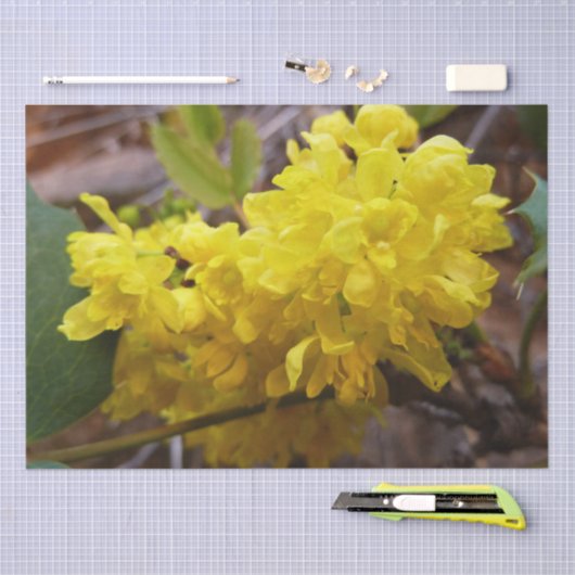 Oregon Grape Flowers Yellow Wildbloemen Tissuepapier (Craft)