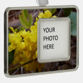 Oregon Grape Flowers Yellow Wildbloemen Verzilverd Omlijst Ornament (Rechts)
