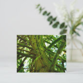 Oregon Green Briefkaart (Staand voorkant)