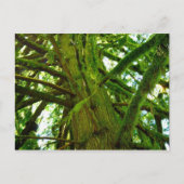 Oregon Green Briefkaart (Voorkant)