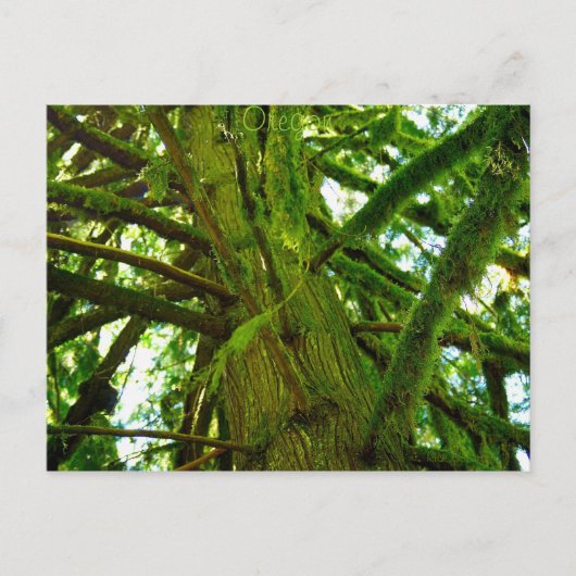 Oregon Green Briefkaart (Voorkant)
