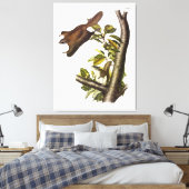 Oregon (Humboldt) vliegend eekhoorn door Audubon Canvas Afdruk (Insitu (Slaapkamer))