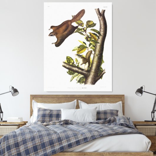 Oregon (Humboldt) vliegend eekhoorn door Audubon Canvas Afdruk (Insitu (Slaapkamer))