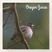 Oregon Junco Glazen Onderzetter (Voorkant)