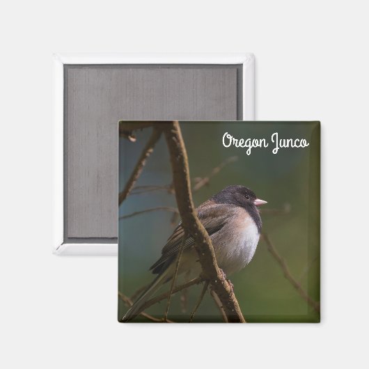 Oregon Junco Magneet (Voorkant / Achterkant)