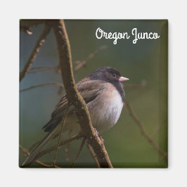 Oregon Junco Magneet
