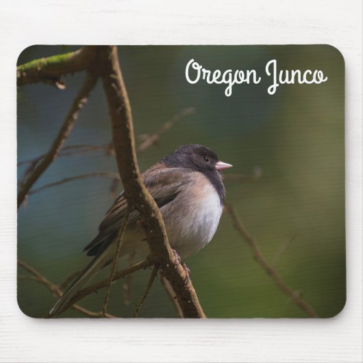 Oregon Junco Muismat (Voorkant)