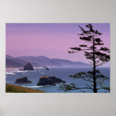 Oregon kust, Ecola State Park, Oregon Poster (Voorkant)