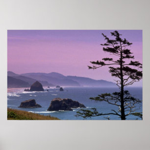 Oregon kust, Ecola State Park, Oregon Poster